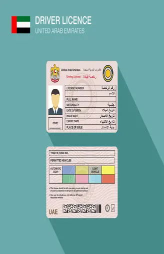 Dubai Driving License,UAE car driver license identification. Flat vector illustration. United Arab Emirates.